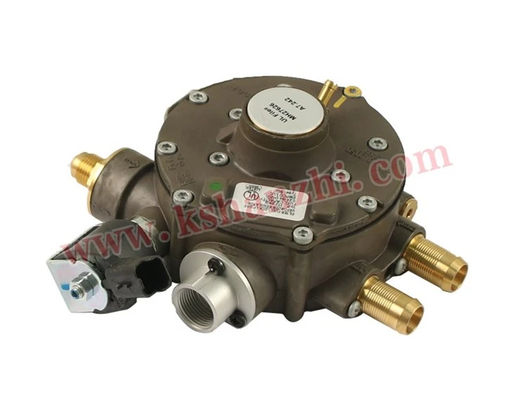 Forklift Parts 4602051 Engine LPG Gas Valve Assembly For Hyster H50